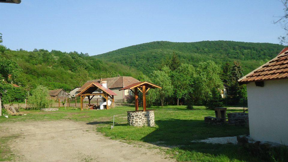 Toldi Vendeghaz Hotel Felsotold Bagian luar foto