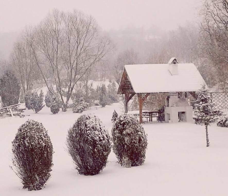 Toldi Vendeghaz Hotel Felsotold Bagian luar foto